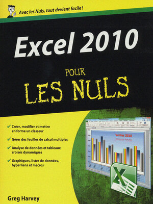 cover image of Excel 2010 Pour les Nuls